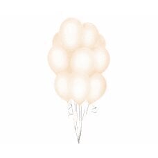 Воздушные шары Beauty & Charm, цвет макарун лососевый, 30 см, 10 шт. цена и информация | Шарики | kaup24.ee