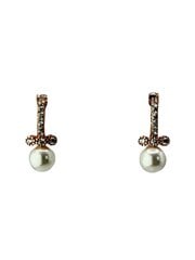 Stella jewelry позолоченные серебряные серьги для женщин с синтетическими камнями, 0E02026C цена и информация | Серьги | kaup24.ee