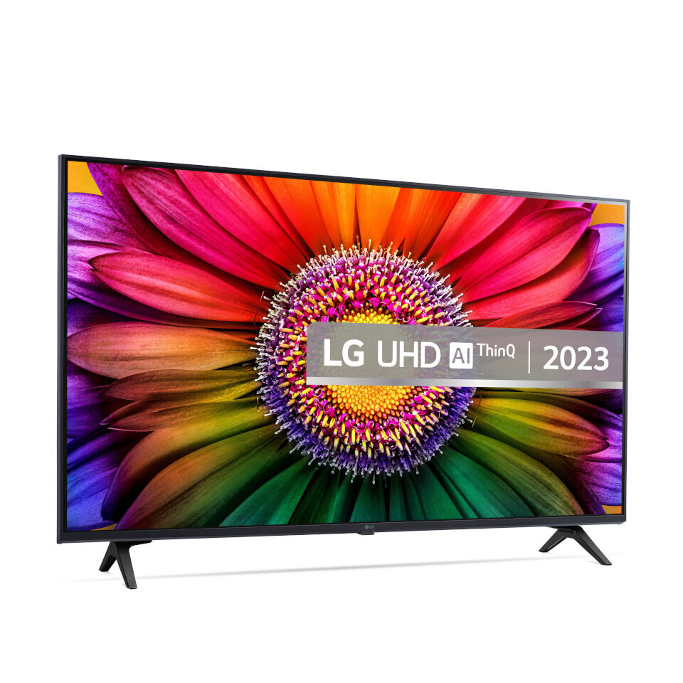 LG 43UR80006LJ.AEUD цена и информация | Telerid | kaup24.ee