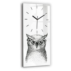 Seinakell Joonistatud öökull prillidega, 30x60 cm цена и информация | Часы | kaup24.ee