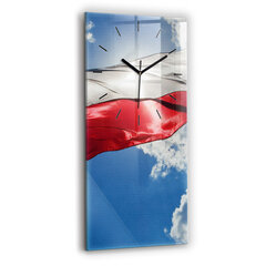 Seinakell Poola lipp taeva vastu, 30x60 cm hind ja info | Kellad | kaup24.ee
