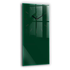 Seinakell Pudeli värv roheline, 30x60 cm цена и информация | Часы | kaup24.ee