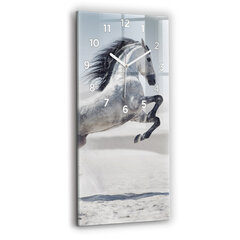 Seinakell Gloping White Horse, 30x60 cm hind ja info | Kellad | kaup24.ee