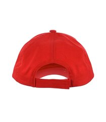 Javali müts poistele 344049 02, erinevad värvid hind ja info | Poiste mütsid, sallid, kindad | kaup24.ee