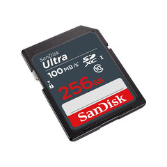 SanDisk SDXC 256 GB hind ja info | Fotoaparaatide mälukaardid | kaup24.ee