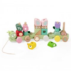 Puidust Montessori õpperong Classic World hind ja info | Imikute mänguasjad | kaup24.ee