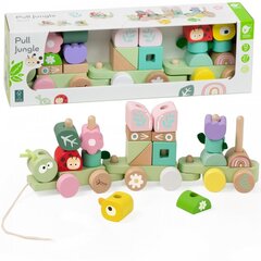 Puidust Montessori õpperong Classic World hind ja info | Imikute mänguasjad | kaup24.ee