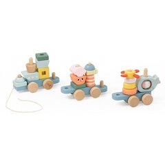Деревянный поезд Монтессори, голубой, Classic World цена и информация | Игрушки для малышей | kaup24.ee