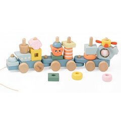 Puidust Montessori rong Classic World, sinine hind ja info | Imikute mänguasjad | kaup24.ee