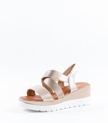 Sandaalid naistele 442300 01, kuldne hind ja info | Naiste sandaalid | kaup24.ee