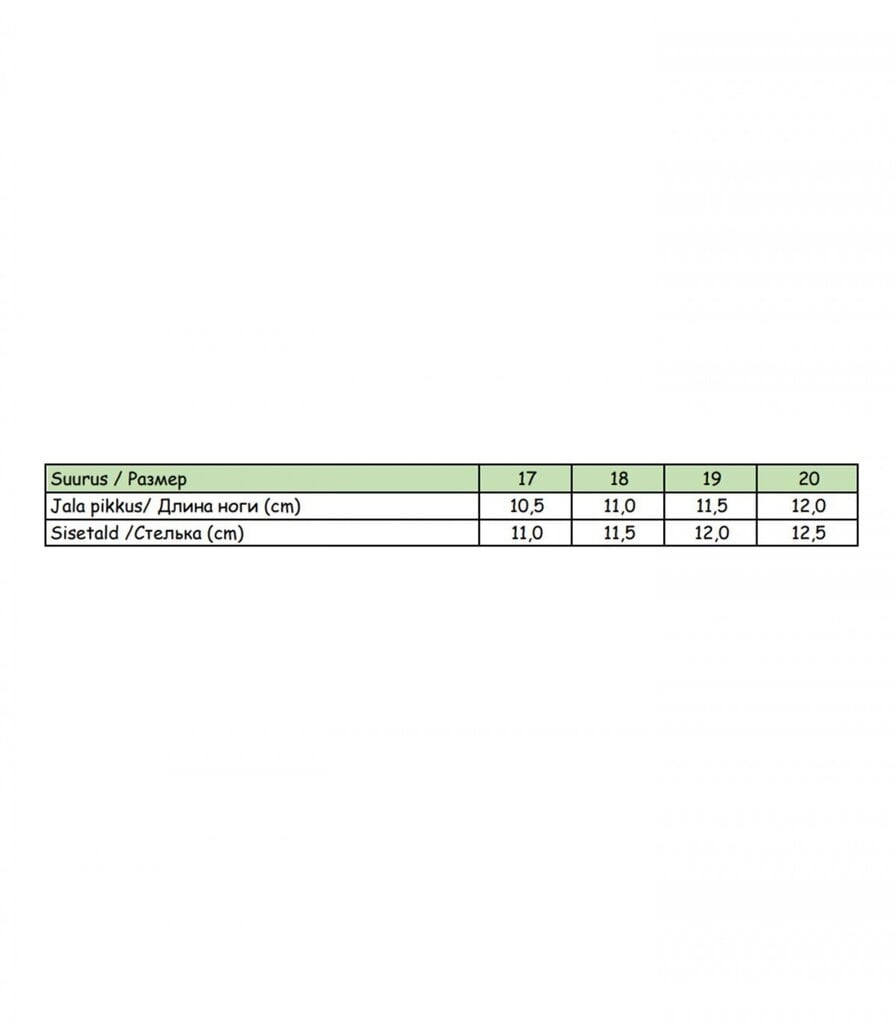 Sandaalid poistele Apawa 440085 01, erinevad värvid цена и информация | Laste sandaalid | kaup24.ee