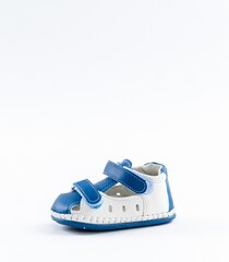 Босоножки для мальчиков Apawa 440085 01, белые/синие цена и информация | Детские сандали | kaup24.ee