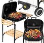 MalTec söegrill, grill 43 x 40 cm + MalTec BBQ puhur цена и информация | Grillid | kaup24.ee