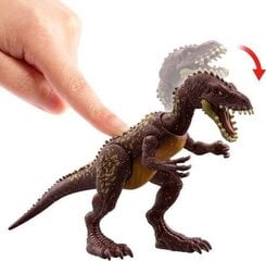 Игрушечный динозавр Масиаказавр Mattel Jurassic World с функциями цена и информация | Игрушки для мальчиков | kaup24.ee