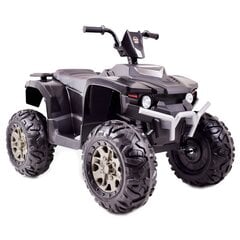 Детский четырехколесный автомобиль с аккумулятором Super Toys Quad H9955 цена и информация | Электромобили для детей | kaup24.ee