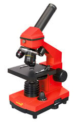 Микроскоп Levenhuk Rainbow 2L PLUS Orange 64x - 640x с экспериментальным комплек цена и информация | Телескопы и микроскопы | kaup24.ee