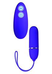 Vibraator Posh Lovers Remote, violetne hind ja info | Vibraatorid | kaup24.ee