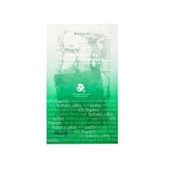 Питательная маска для лица Axis-Y Mugwort Green Vital Energy Complex Sheet Mask, 27 мл цена и информация | Маски для лица, патчи для глаз | kaup24.ee