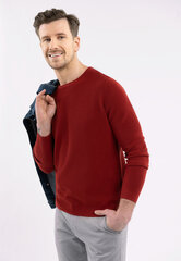 Хлопковый джемпер S-BRADY цена и информация | Мужские свитера | kaup24.ee
