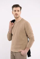 Мужской джемпер S-MARC цена и информация | Мужские свитера | kaup24.ee