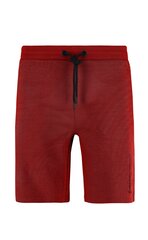 Lühikesed püksid meestele Volcano, punane hind ja info | Meeste lühikesed püksid | kaup24.ee