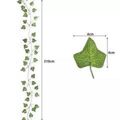 Гирлянда из искусственных листьев плюща 6,3м L55 цена и информация | Искусственные цветы | kaup24.ee