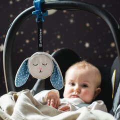 Whisbear jänes beebi magamiskaaslane, 45104 hind ja info | Imikute mänguasjad | kaup24.ee