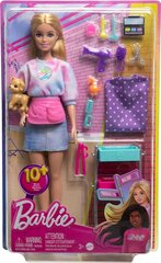 Barbie nukk aksessuaaridega Mattel, HNK95, 15 tk hind ja info | Tüdrukute mänguasjad | kaup24.ee