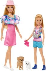 Kaks Barbie-nukku koos tarvikutega Mattel, HRM09, roosa/sinine, 10 tk hind ja info | Tüdrukute mänguasjad | kaup24.ee