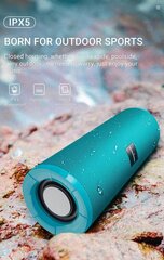 Borofone Portable Bluetooth Speaker BR1 Beyond turquoise цена и информация | Аудиоколонки | kaup24.ee