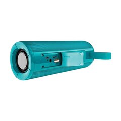 Borofone Portable Bluetooth Speaker BR1 Beyond turquoise цена и информация | Аудиоколонки | kaup24.ee