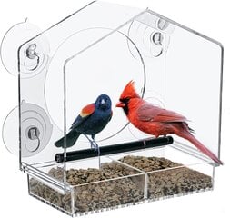 Прозрачная кормушка для птиц цена и информация | Скворечники, кормушки, клетки | kaup24.ee