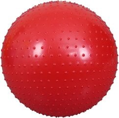 Резиновый мяч для фитнеса цена и информация | Гимнастические мячи | kaup24.ee