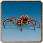 76434 Lego® Harry Potter Aragog keelatud metsas hind ja info | Klotsid ja konstruktorid | kaup24.ee