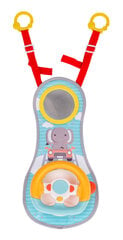 Интерактивный набор для вождения для детей цена и информация | Игрушки для малышей | kaup24.ee