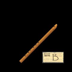 Ирландская волынка в тональности Bb Terre Irish whistle Note цена и информация | Духовые инструменты | kaup24.ee