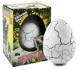 Dinosauruse munade kasvatamine lastele Dinoworldis hind ja info | Poiste mänguasjad | kaup24.ee