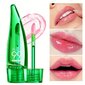 Huuleläige Langmanni Aloe Lip Oil, 5 ml цена и информация | Huulepulgad, -läiked, -palsamid, vaseliin | kaup24.ee