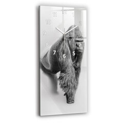 Seinakell Loomakunstide kogu, 30x60 cm цена и информация | Часы | kaup24.ee