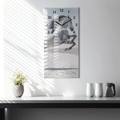 Seinakell Gloping White Horse, 30x60 cm hind ja info | Kellad | kaup24.ee