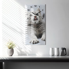 Seinakell Kass diivanil, 30x60 cm цена и информация | Часы | kaup24.ee