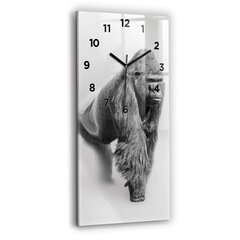 Seinakell Loomakunstide kogu, 30x60 cm цена и информация | Часы | kaup24.ee