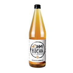 Orgaaniline fermenteeritud teejook Kombucha traditsiooniline maitse Ohm!bucha, 750 ml hind ja info | Karastusjoogid | kaup24.ee