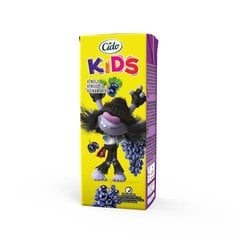 Viinamarjanektar Cido Kids Trollid, 0.2 l hind ja info | Mahlad, nektarid | kaup24.ee