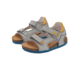 Кожаные сандалии D.D.Step для мальчика AC051-1A цена и информация | Детские сандали | kaup24.ee