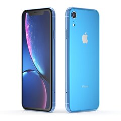 Apple iPhone XR 256GB (Klass A (Väga hea)) цена и информация | Мобильные телефоны | kaup24.ee