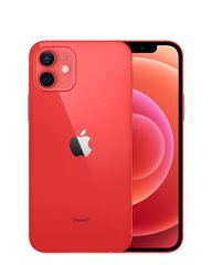 Apple iPhone 12 256GB (Klass A (Väga hea)) цена и информация | Мобильные телефоны | kaup24.ee