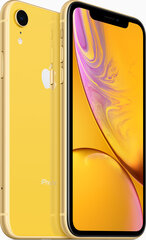 Apple iPhone XR 64GB (Klass A (Väga hea)) hind ja info | Telefonid | kaup24.ee