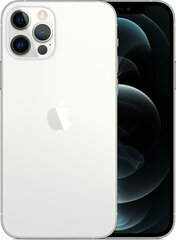 Apple iPhone 12 Pro Max 256GB (Klass A+ (Ideaalne)) цена и информация | Мобильные телефоны | kaup24.ee