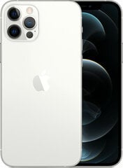 Apple iPhone 12 Pro Max 256GB (Klass A (Väga hea)) цена и информация | Мобильные телефоны | kaup24.ee